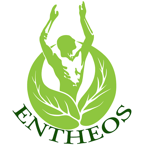 Entheos - Visual