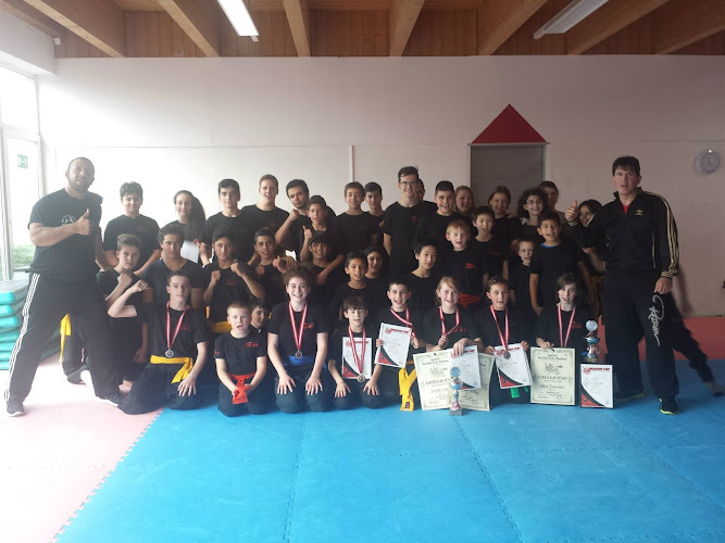 Martial Arts - Academy e.V.