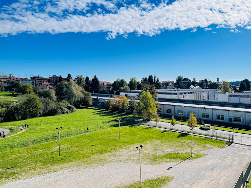 "Carlo Cattaneo" University College - Thumbnail