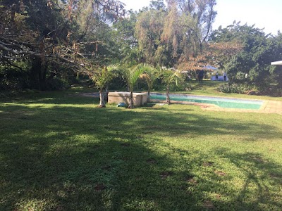 Photos of The Sunbird