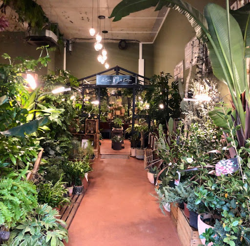 Arbres & Co - Thumbnail