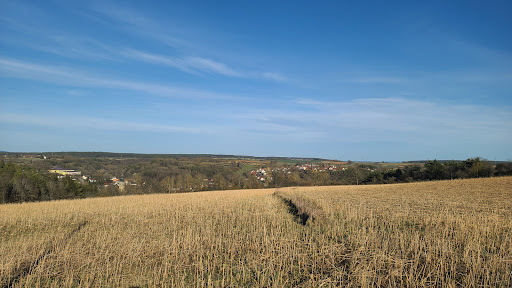 Asam-Jura-Schleife - Thumbnail