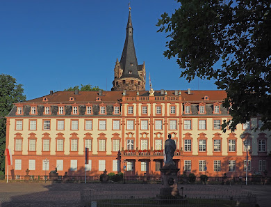 Schloss Erbach - Erbach