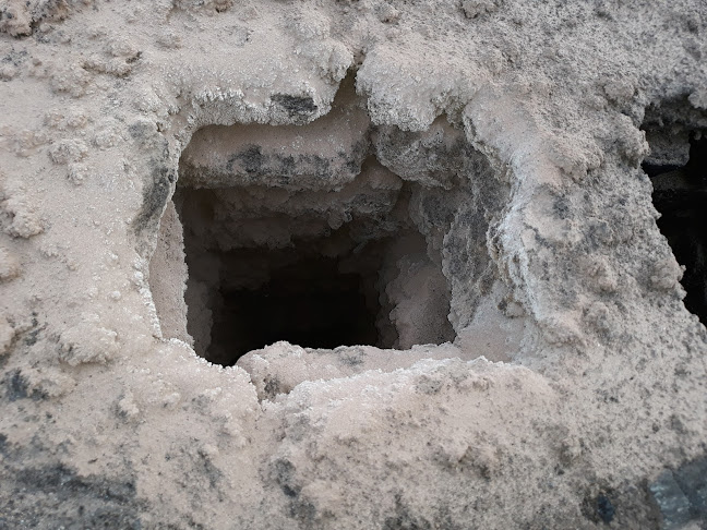 Usługi kominiarskie sadza - Pińczów