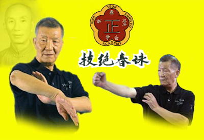 Ving Tsun Kung Fu Academy