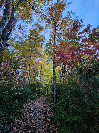 Grand Gap Loop Trailhead - Visual