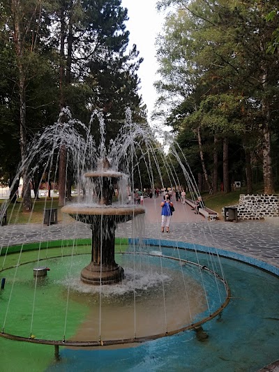 Skenderbeu Stadium/Stadiumi i Skenderbeut