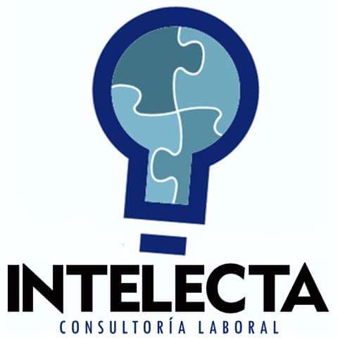 INTELECTA CONSULTORÍA - Visual