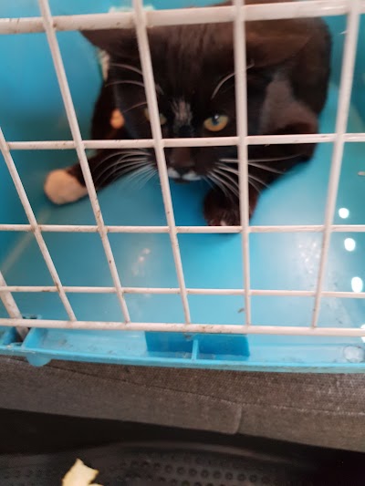 Photos of Peyman Veterinary Hospital