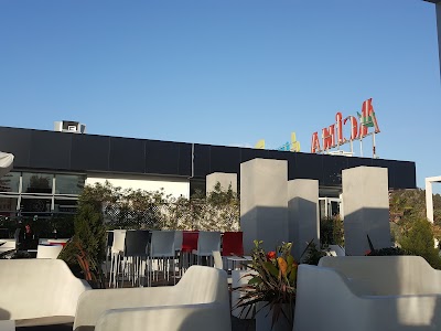 Photos of Acima Champion