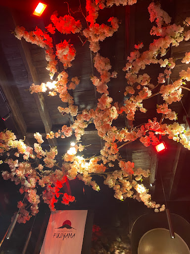 Restaurante Japonés Fujiyama La Laguna Gallery - Spain