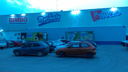 Bimbo Pachuca 1