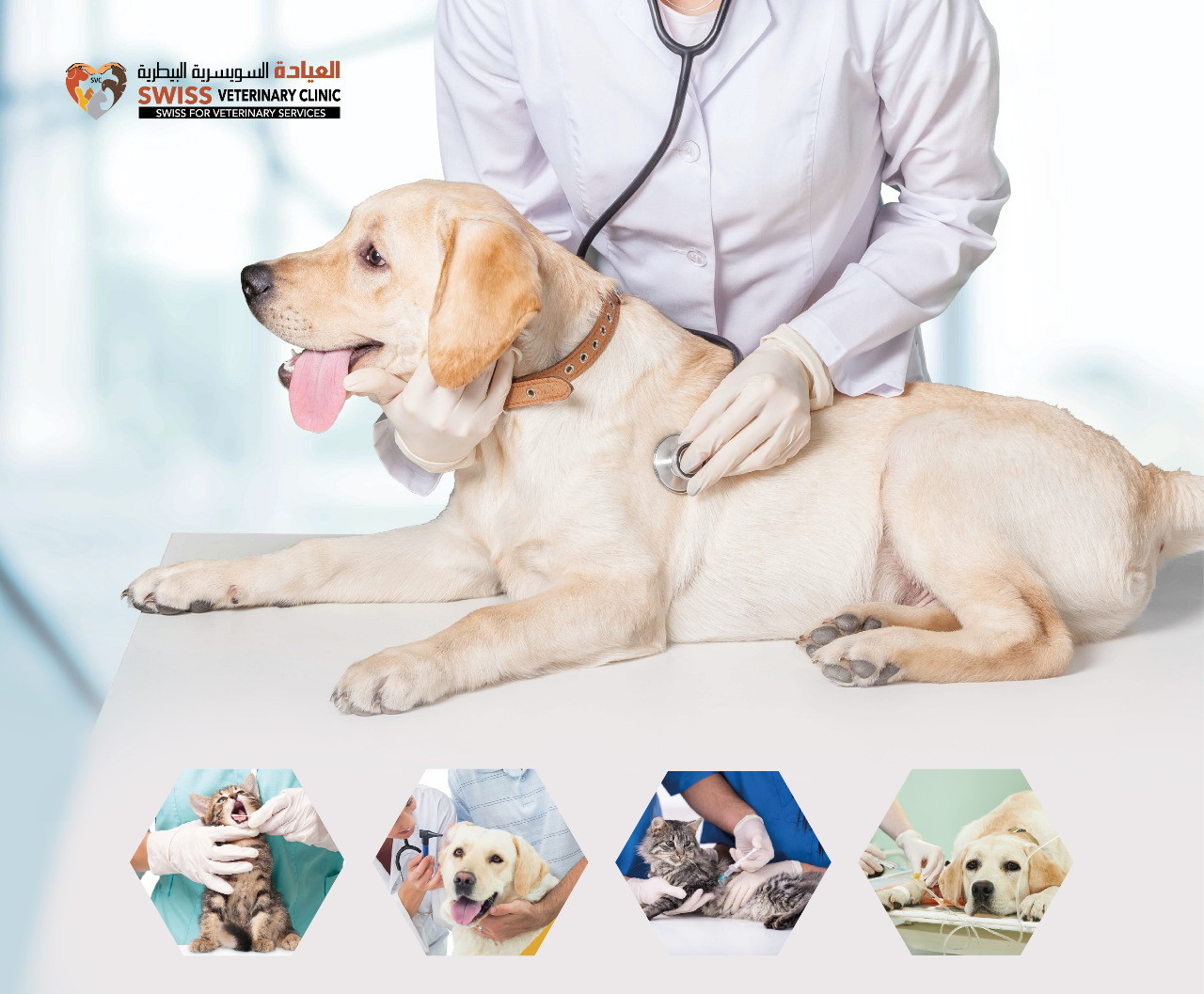 Swiss Veterinary Clinic Abu Dhabi - العيادة السويسرية البيطرية بأبوظبي - صورة 3