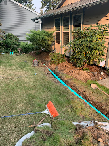 Royal Flush Plumbing and Sewer LLC