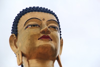 Photos of Buddha Dordenma