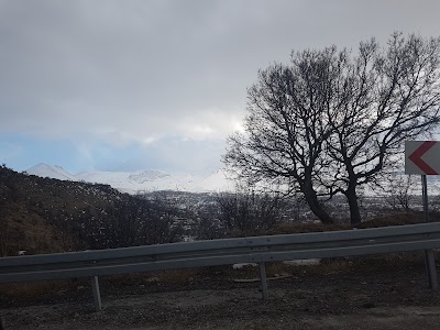 Photos of Ceyhan Gıda