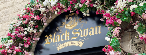 The Black Swan Gallery - United States