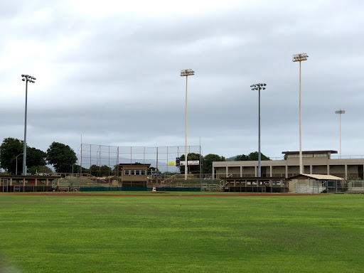 Vidinha Stadium - Thumbnail