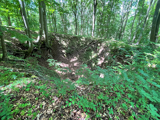 Ankenbergschwinde - Visual