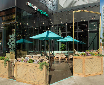 Tocaya Modern Mexican, restaurant in Los Angeles