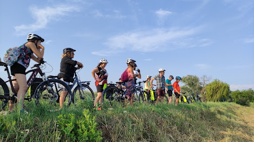 Treviso.bike - Visual