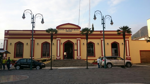 Hospital De Salud Mental Orizaba - Thumbnail