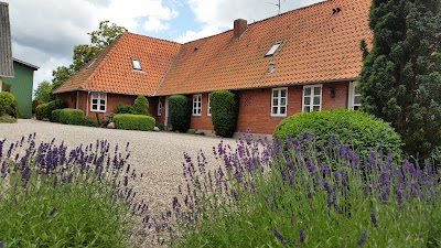 lodging