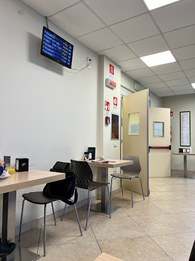 Geysis Café - Visual