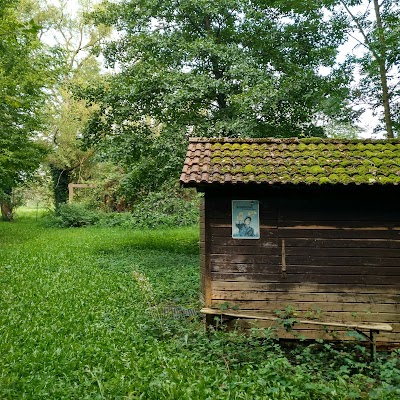 Photos of Bacchusstube
