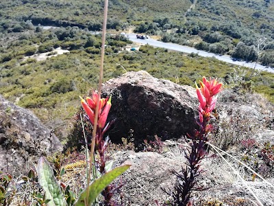 Photos of Tapant&iacute; National Park