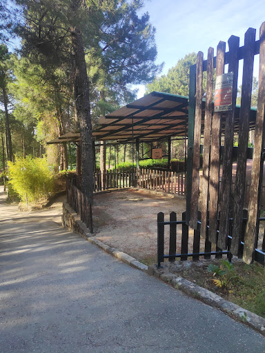 Campamento Valle del Tiétar - Thumbnail