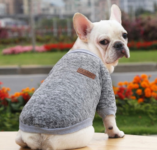 The Woof Boutique - Thumbnail