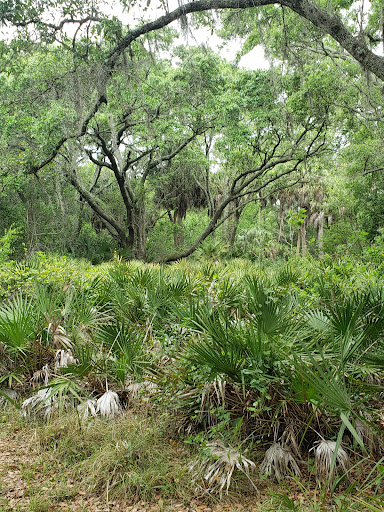 Town N Country Nature Preserve. - Thumbnail