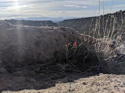 Deer Trap Trailhead