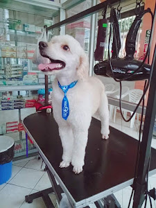 VET CAN SPA & CLÍNICA VETERINARIA 0