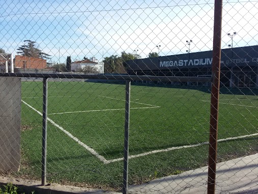 Mega Stadium, Author: Silvina Salvatierra