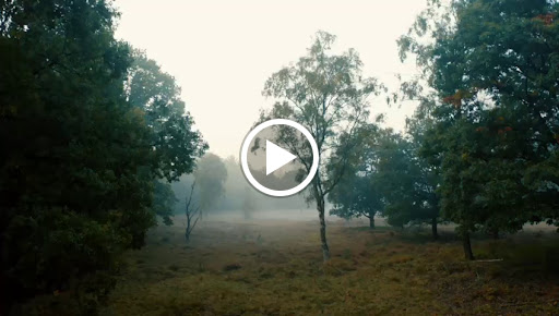 site_photo3