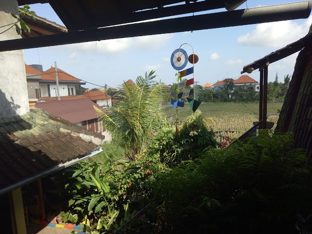 The Happy Mango Tree