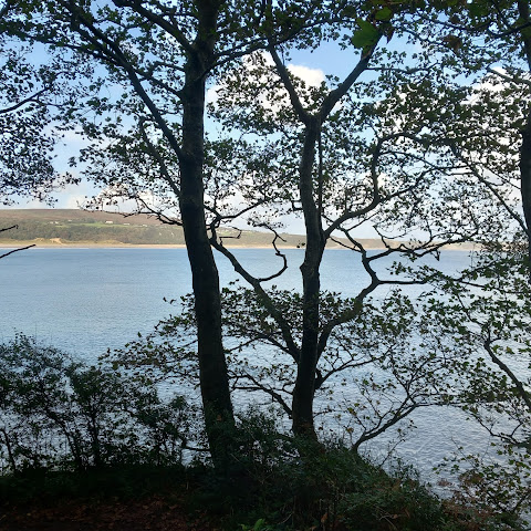 Oxwich Camping Park by null