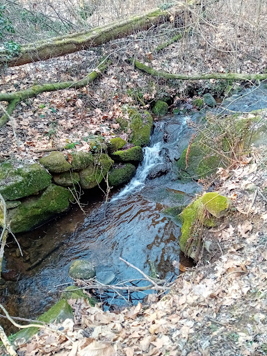 Sorgente del Fiume Lura - Thumbnail