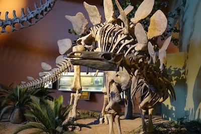 New Mexico Museum of Natural History and Science