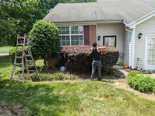 Davis Home Services LLC