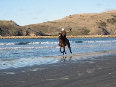 Photos of Hare Hill Horse Treks