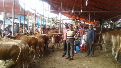 Photos of Modhunaghat Bus Stop