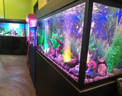 Photos of MIRIYAM AQUARIUM