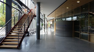 university