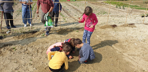 Soggiorno Per Anziani Boeri Societa' Coop. Sociale Gallery - Italy