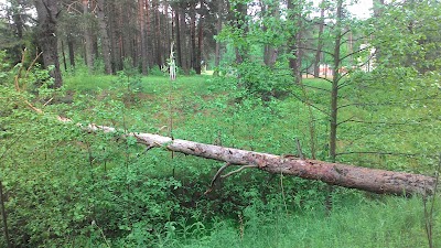 Photos of Sanatoriy Vyazhuti