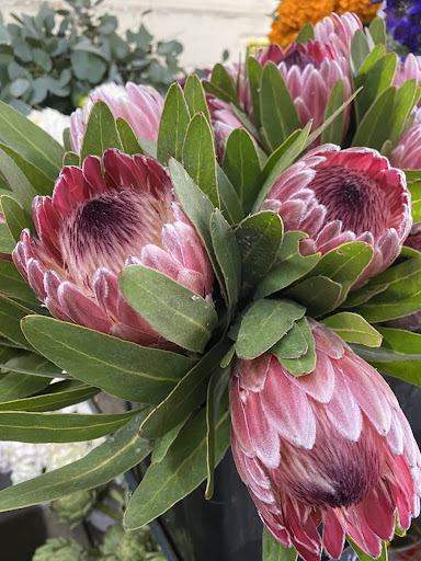 Northern California Flower Shippers - Thumbnail