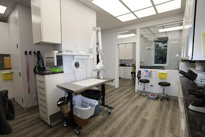 Clinique Veterinaire Fontaine